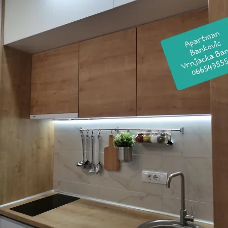Apartament Bankovic Vrnjačka Banja